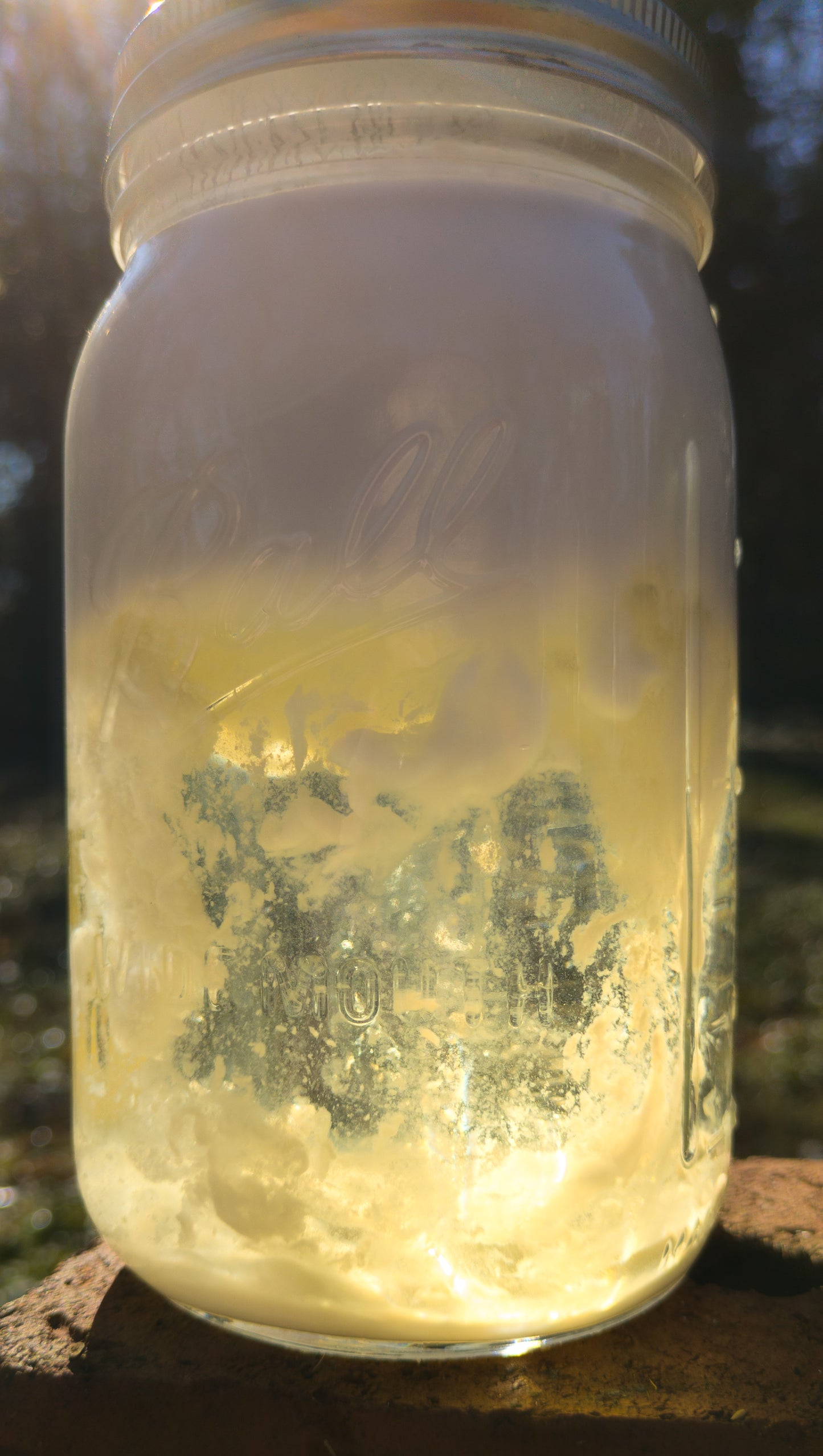 Organic Patchouli x Lemongrass Liquid Soap – Made from Handcrafted Lye