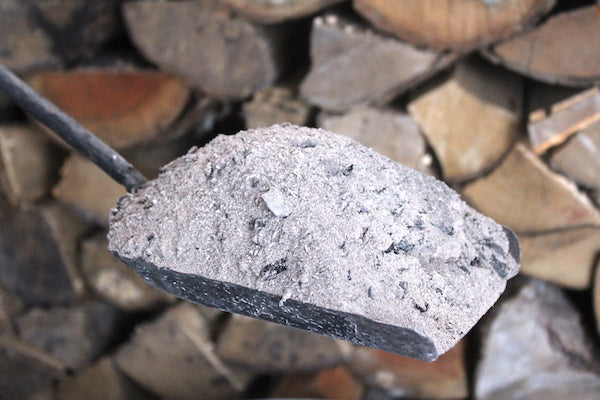 a picture of ash