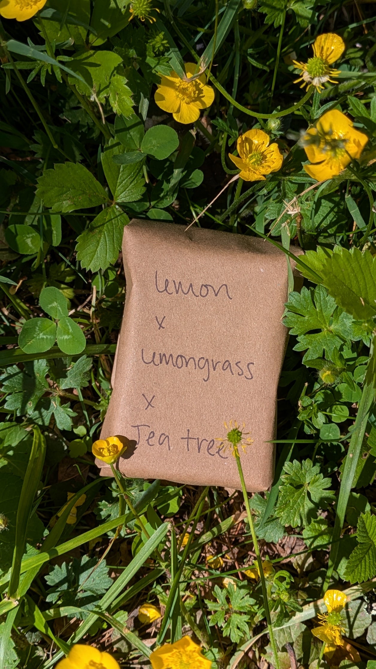 Organic Lemon x Lemongrass x Tea Tree Bar Soap - Made from Handcrafted Lye