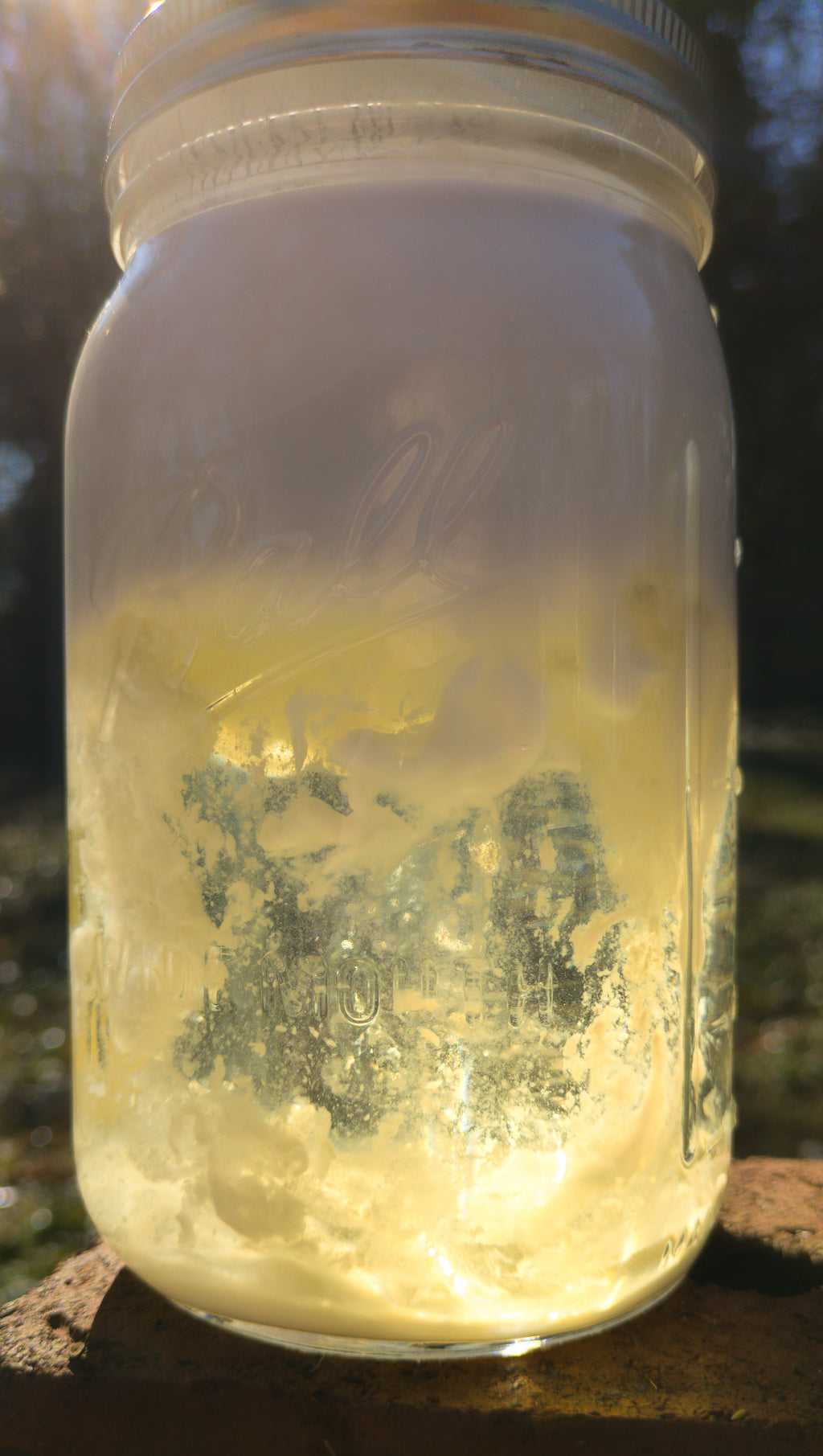 Organic Lemon x Lemongrass x Tea Tree Liquid Soap – Made from Handcrafted Lye