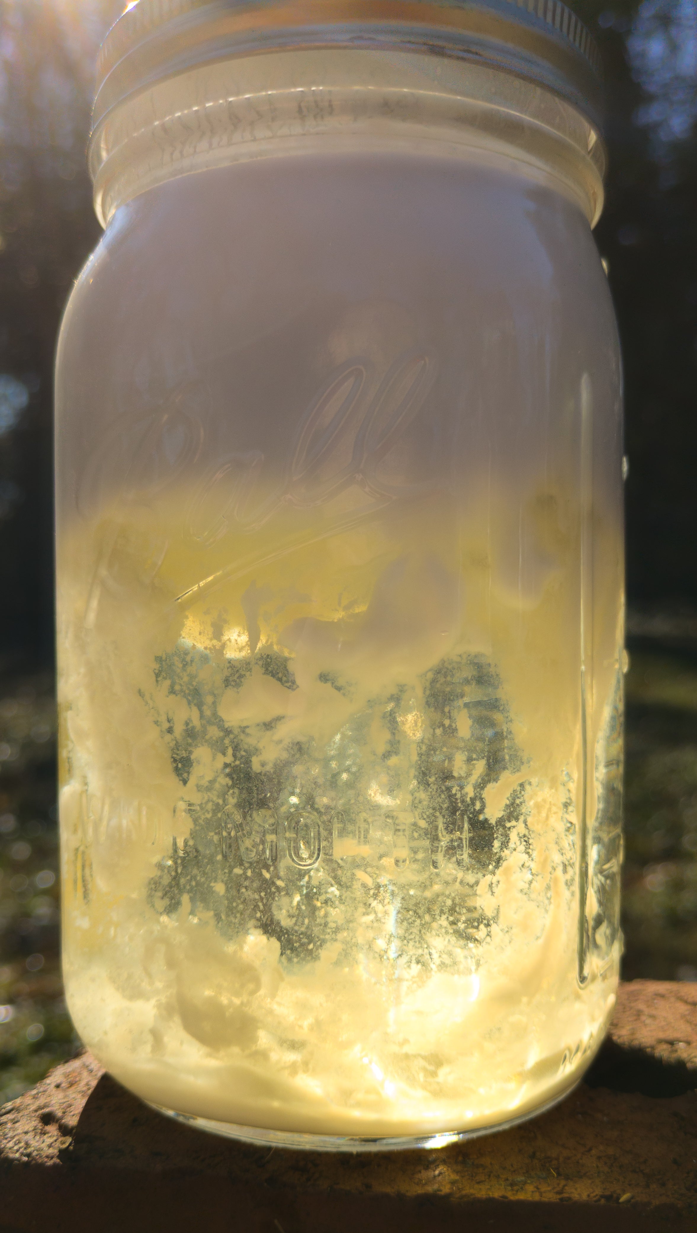 Organic Patchouli  x Lemongrass Liquid Soap – Made from Handcrafted Lye