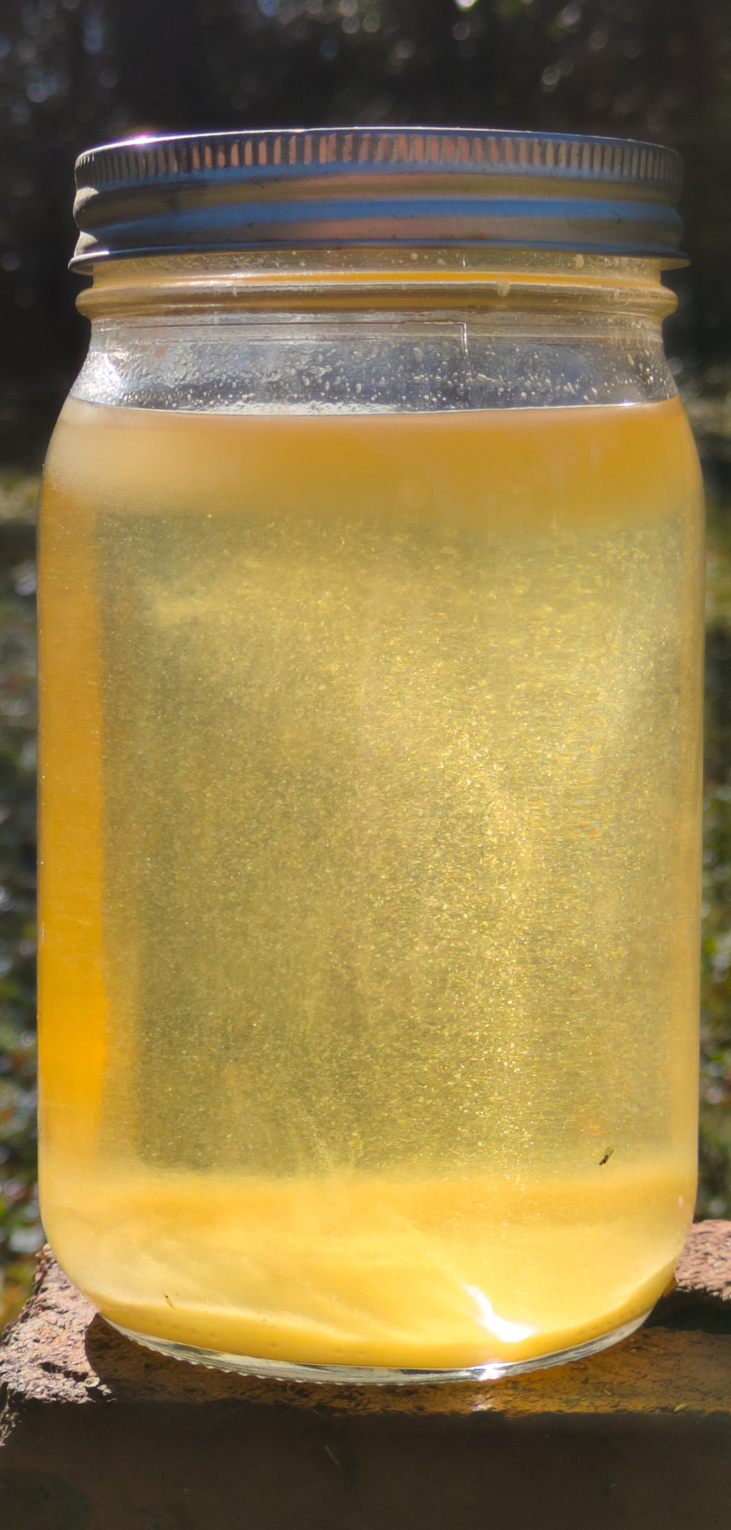 Organic Turmeric x Lemongrass Liquid Soap – Made from Handcrafted Lye