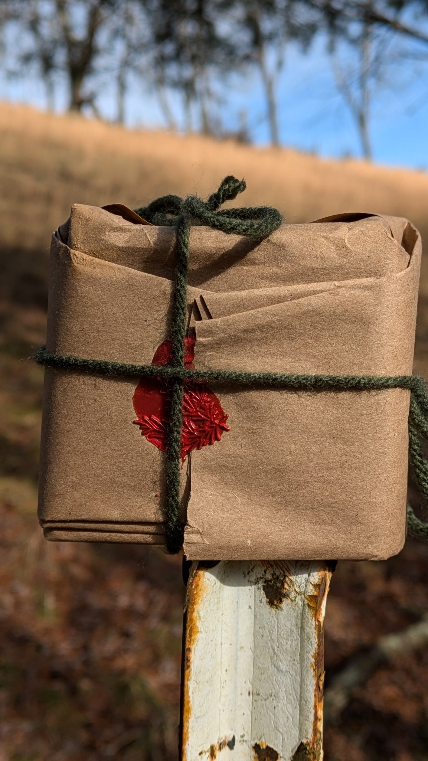 Unscented Lye Soap – Handmade Lye, No Gimmicks