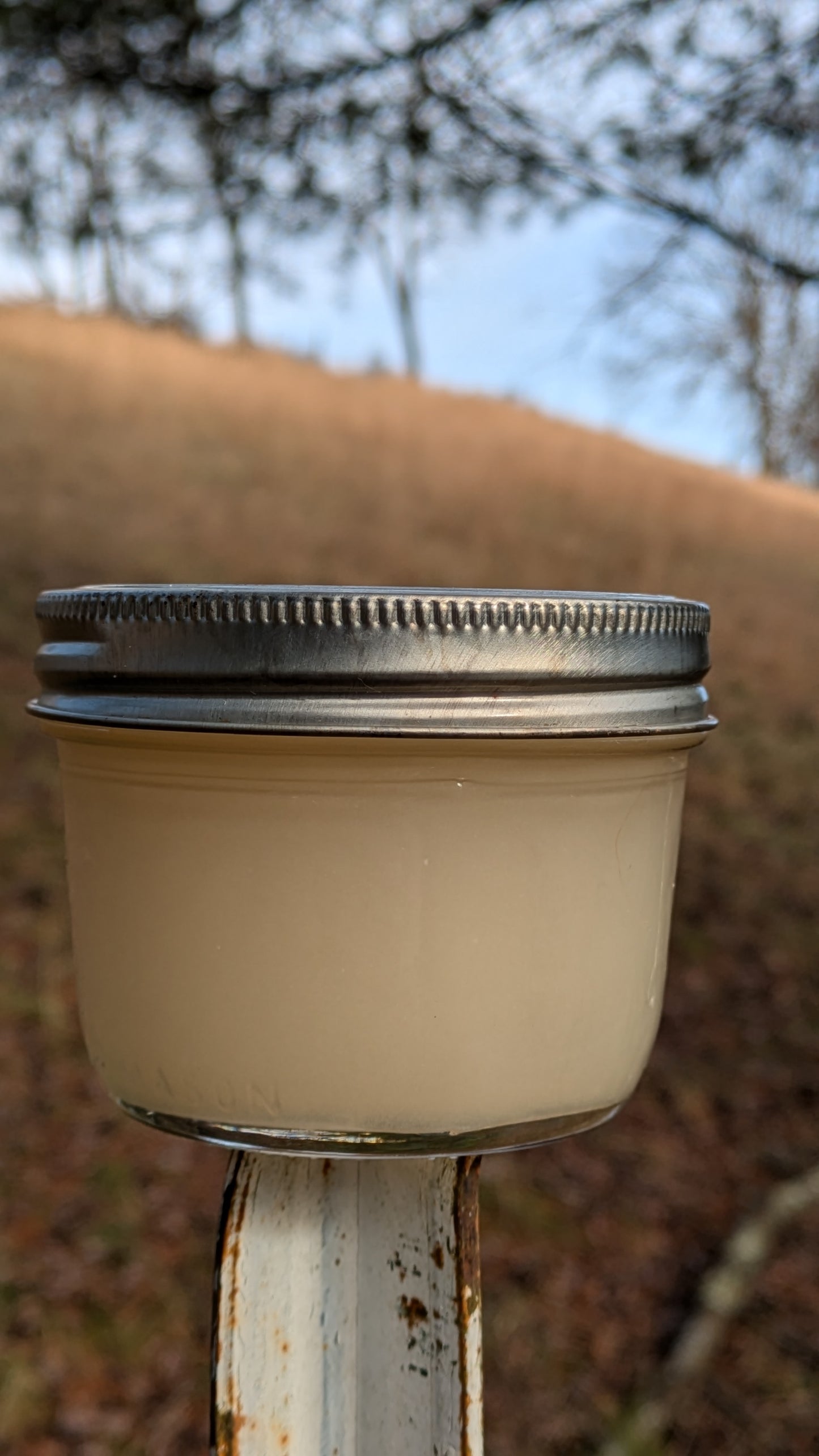 Organic Lemongrass x Clove Liquid Soap – Made from Handcrafted Lye
