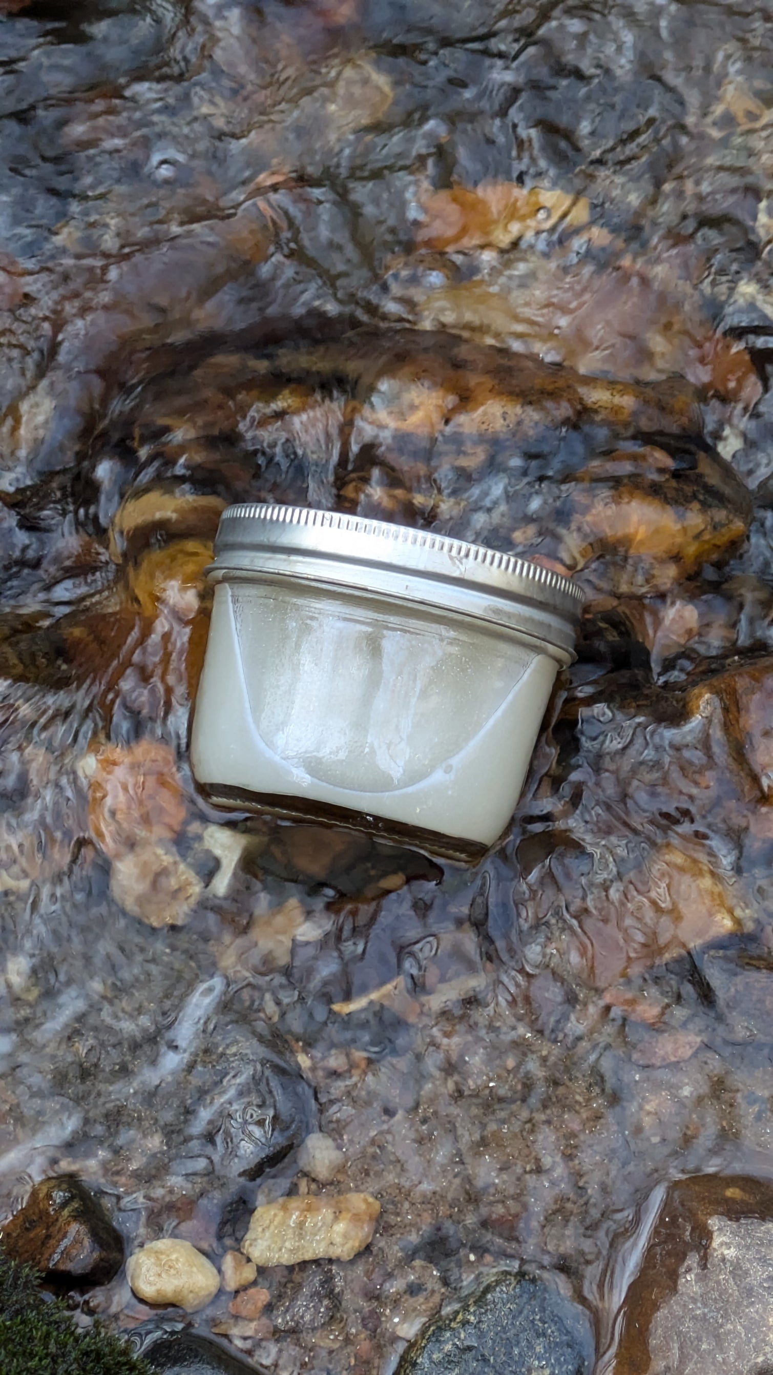 Organic Lemongrass x Clove Liquid Soap – Made from Handcrafted Lye