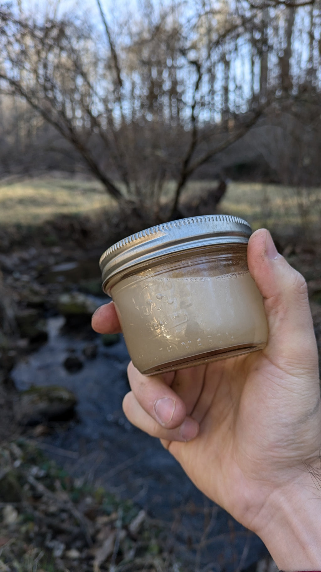 Organic Lemon x Lemongrass x Tea Tree Liquid Soap – Made from Handcrafted Lye