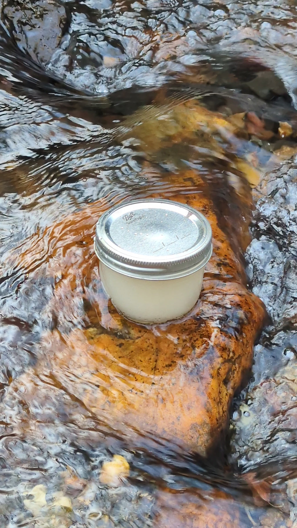 Sunflower Ash Liquid Soap – Authentic Ash Lye