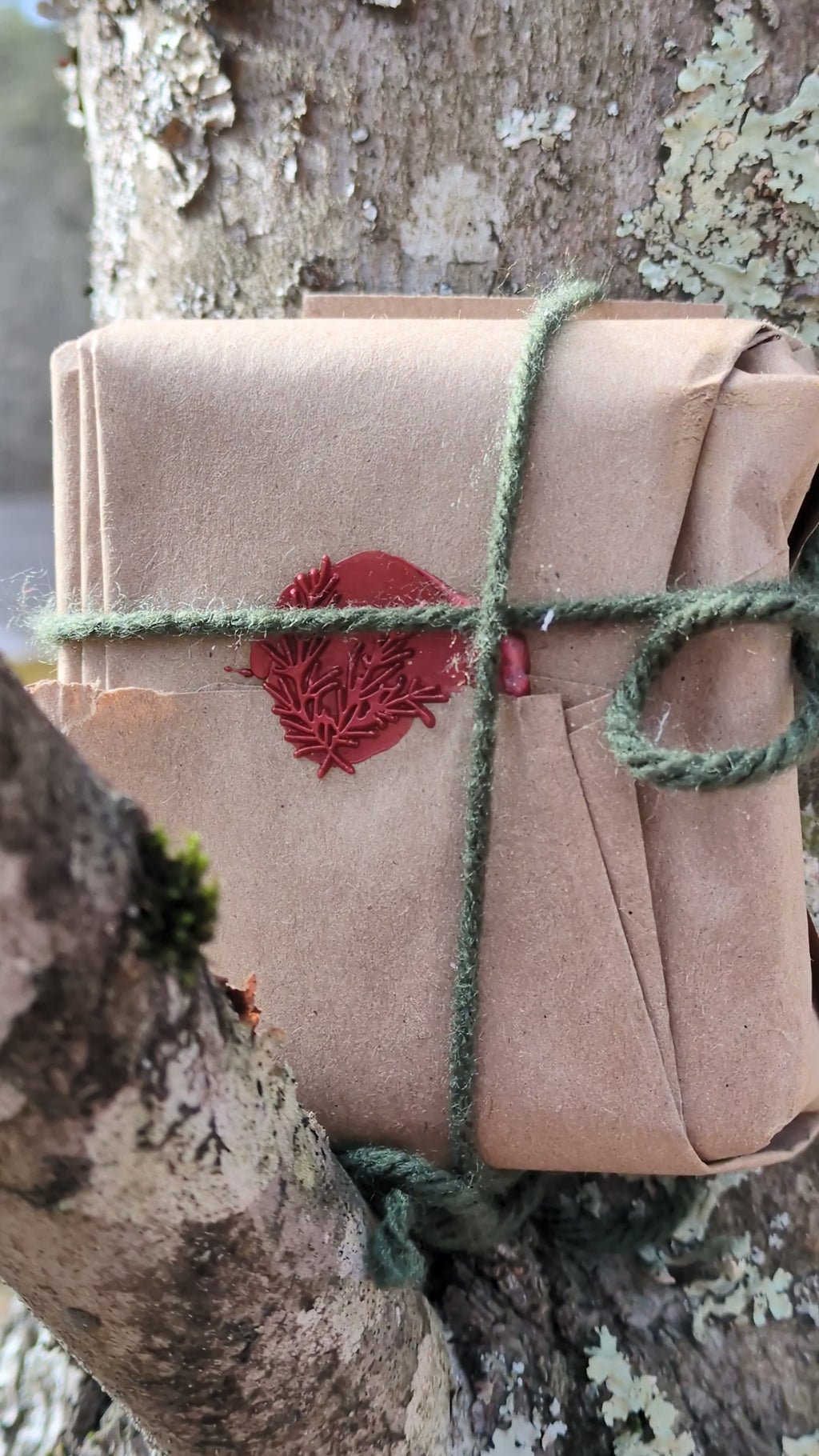 Unscented Lye Soap – Handmade Lye, No Gimmicks