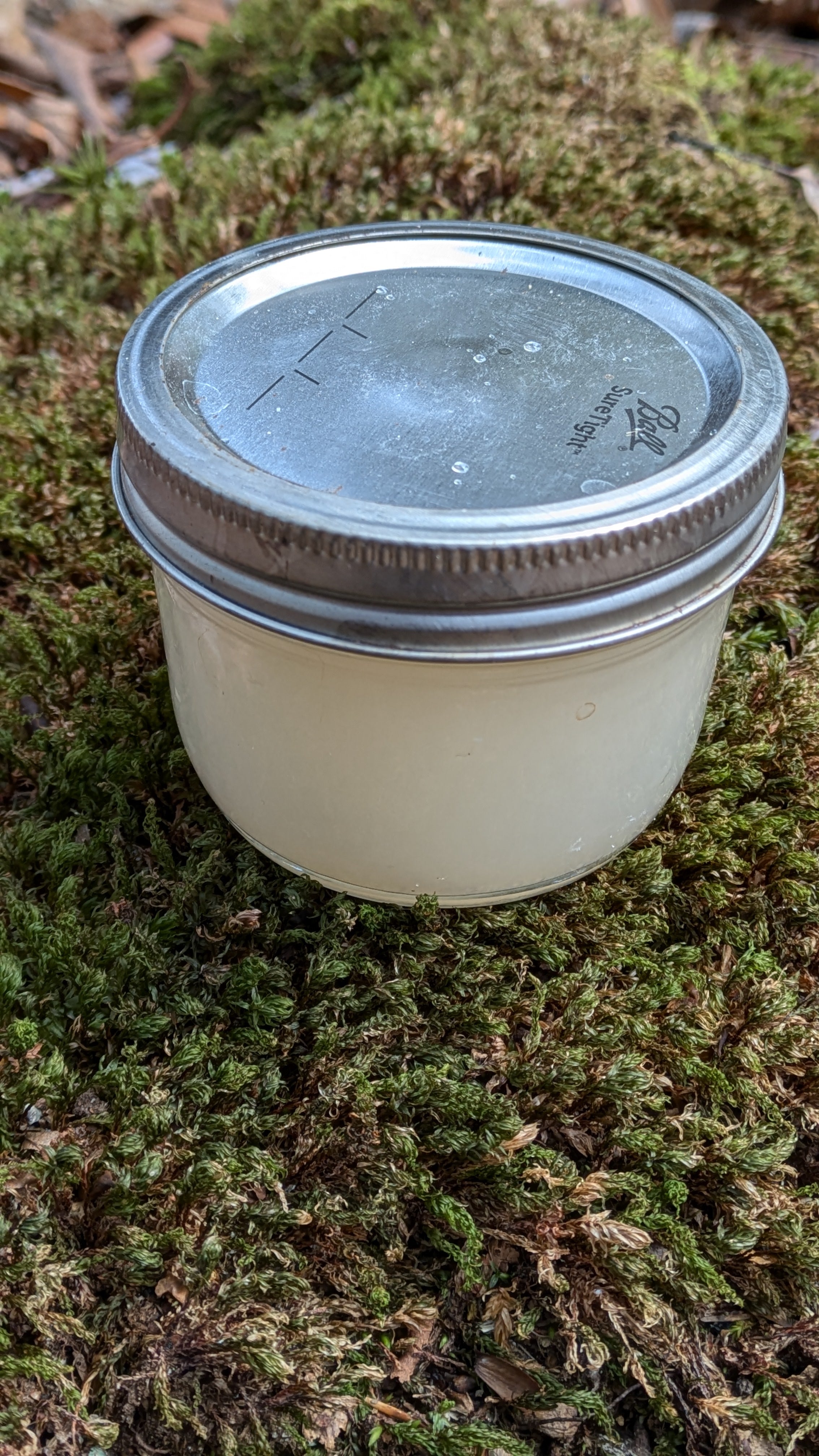 Sunflower Ash Liquid Soap – Authentic Ash Lye