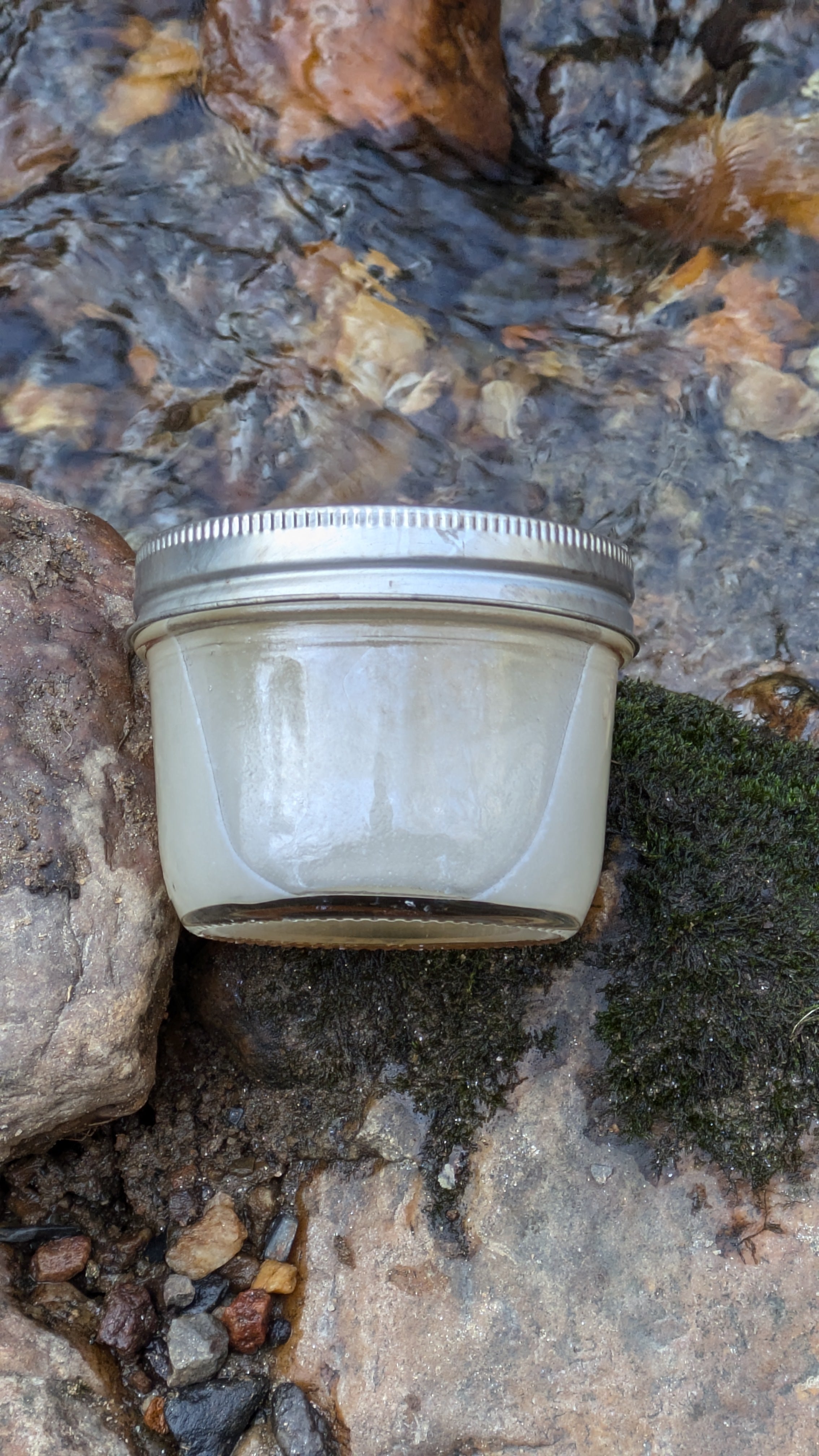 Sunflower Ash Liquid Soap – Authentic Ash Lye